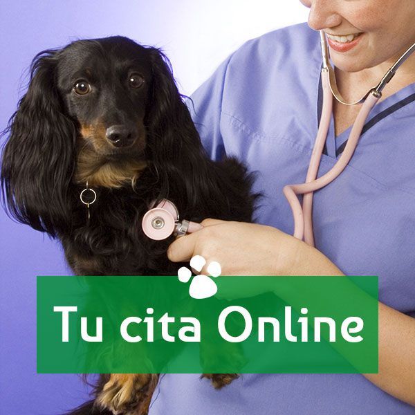 Clínica veterinaria en Getafe